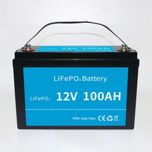 Paquet de bateries de fosfat de ferro de liti lifepo4 12v 100ah amb bms per a scooter elèctric RV