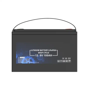 Bateria incorporada de BMS LiFePO4 12V 100Ah de llarga durada