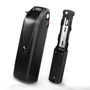 Bateria de scooter elèctric Hailong ebike 48V 15Ah