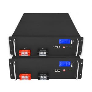 Personalització de fàbrica de la bateria de ions de liti 48V 100Ah LiFePO4 per a sistemes d’emmagatzematge d’energia solar
