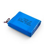 3.7V personalitzat 2450 2600 3900 4000 4500 4700 5000 6000 9000Mah bateria Lipo de polímer